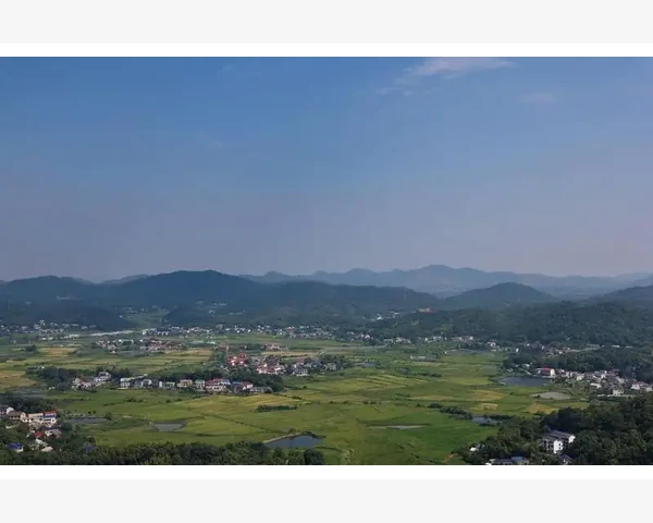大暑养生：4个要点需注意