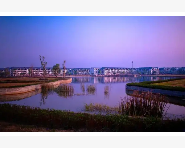 夏天脾胃湿寒,怎样调理身体恢复健康